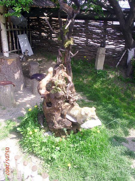 PIC_0083.JPG