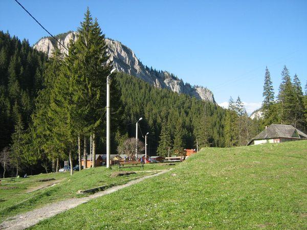 IMG_1122.jpg