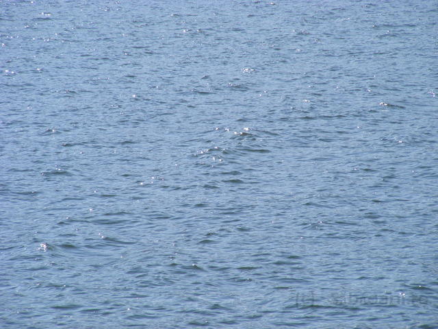 DSCF0133.JPG