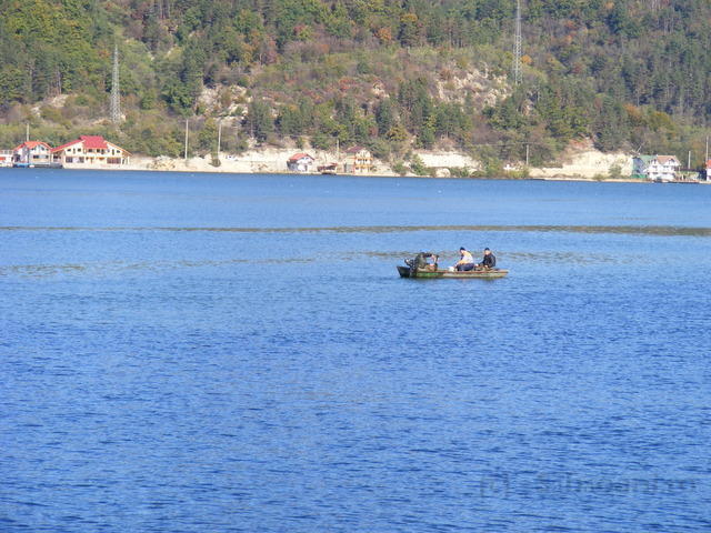 DSCF0197.JPG