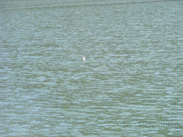DSCF0246.JPG