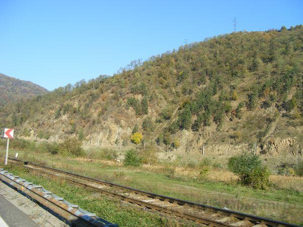 DSCF0183.JPG