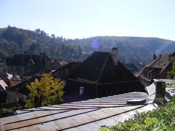 DSCF0418.JPG