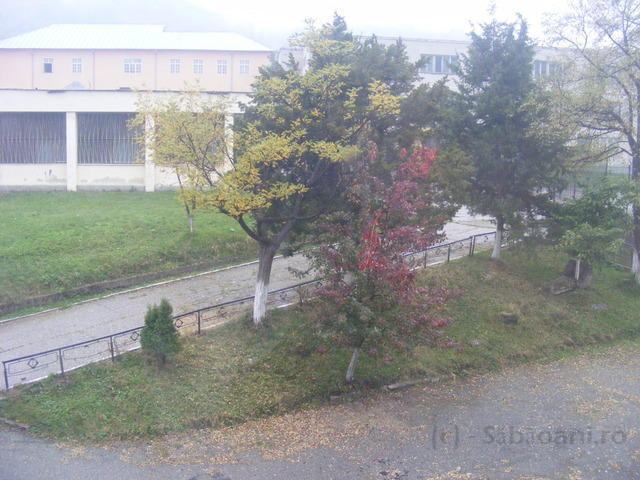 DSCF0092.JPG