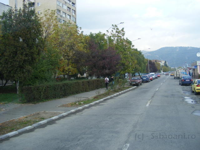 DSCF0279.JPG