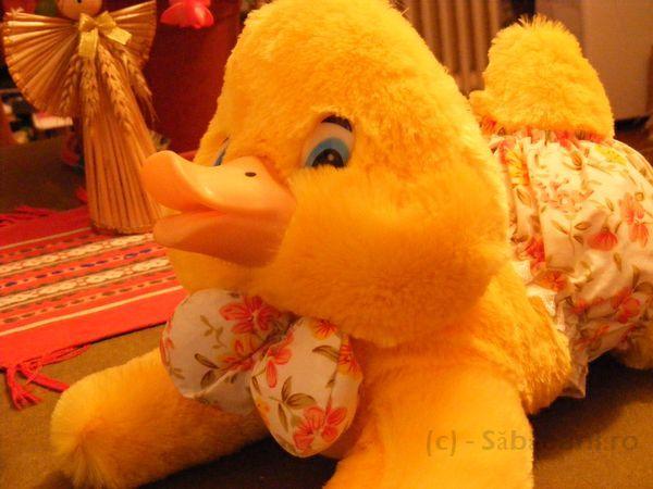 2008_12050043.JPG
