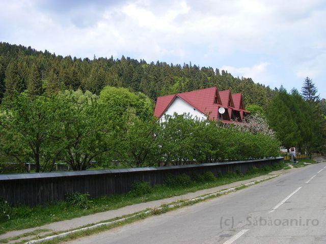 2008_05180182.JPG