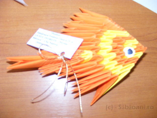 DSCF0041.JPG