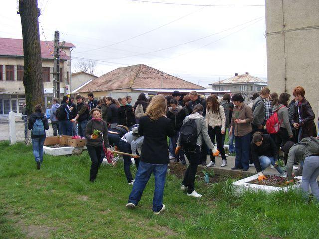 Toti vor sa planteze cate o floare