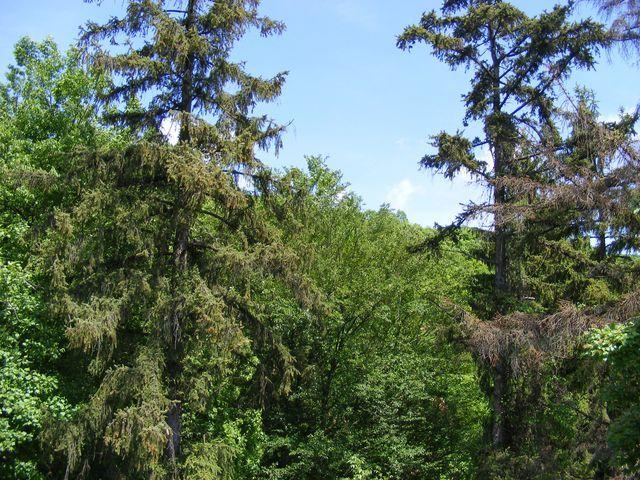 DSCF0139.JPG