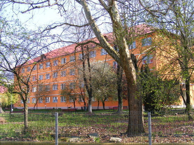 Universitatea