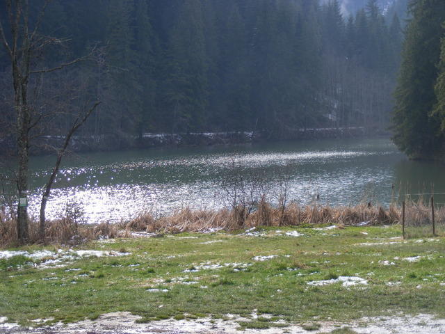 DSCF0387