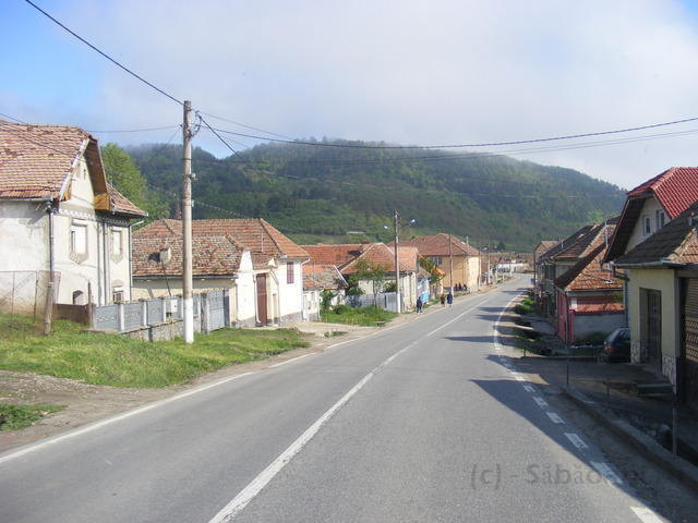 DSCF0049