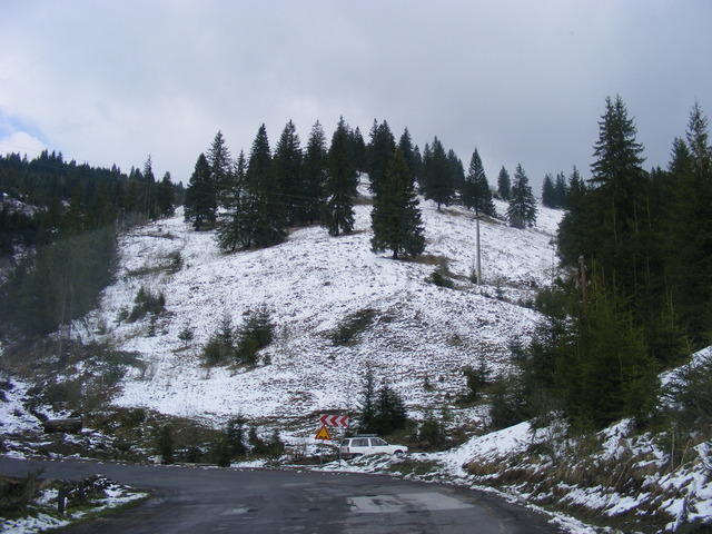 DSCF0348