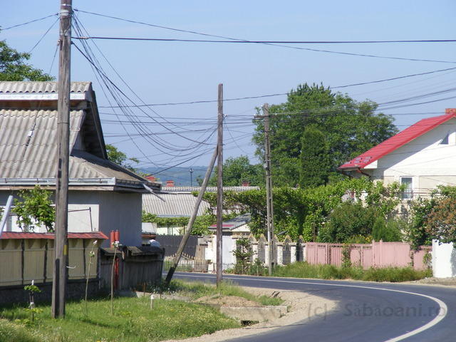 DSCF0005