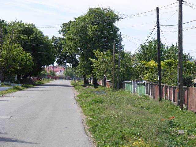 DSCF0133