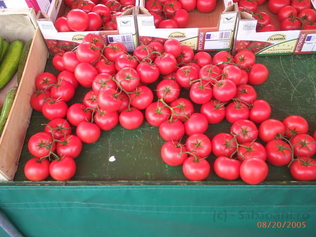 PIC 0425