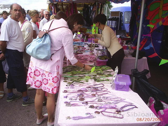 PIC 0445