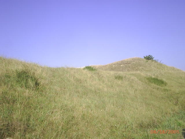 PIC 0143