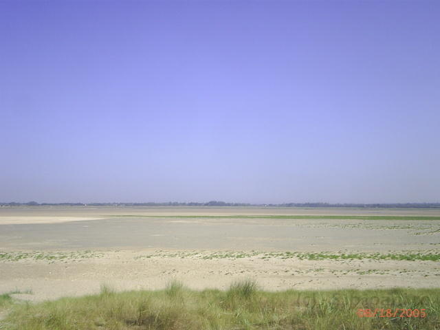 PIC 0156