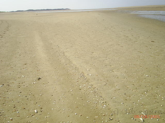 PIC 0161