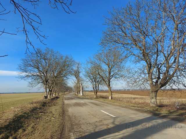IMG-20260215-WA0004