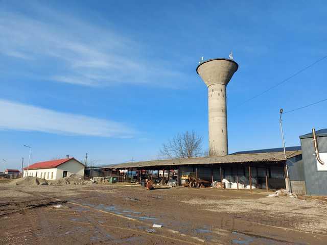IMG-20260215-WA0008