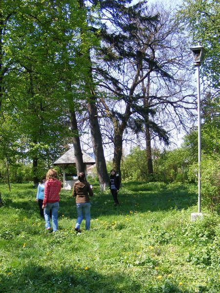 Gradina casei din Mircesti