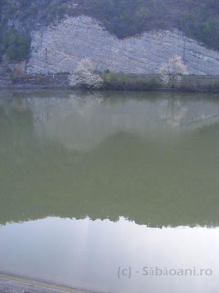DSCF0477.JPG
