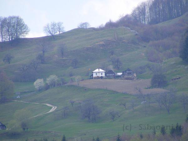 DSCF0736.JPG