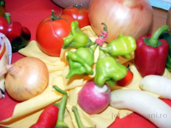 DSCF0060.JPG