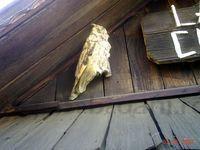 PIC_0089.JPG