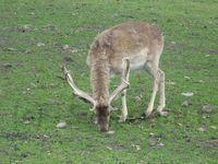 IMG_1255.jpg