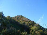 DSCF0010.JPG
