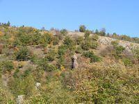 DSCF0039.JPG