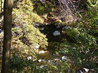 DSCF0117.JPG