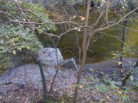 DSCF0127.JPG