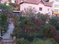 DSCF0001.JPG