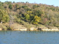 DSCF0134.JPG