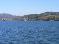 DSCF0142.JPG
