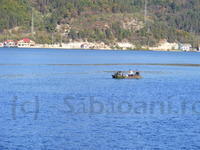 DSCF0197.JPG