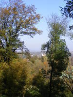 DSCF0229.JPG