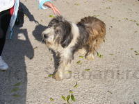DSCF0241.JPG