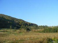 DSCF0046.JPG