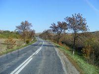 DSCF0328.JPG