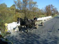 DSCF0329.JPG