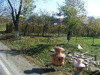 DSCF0378.JPG