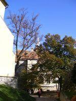 DSCF0485.JPG