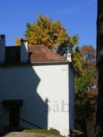 DSCF0486.JPG