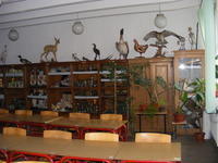 DSCF0079.JPG